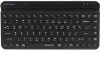 Клавіатура A4Tech Fstyler FBK30 Black (4711421972499)