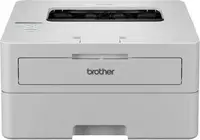 БФП Brother HL-B2180DW (HLB2180DWYJ1)