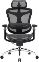 Крісло офісне Sihoo DORO C300 Pro Mesh Black