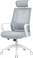 Крісло офісне OfficePro Harmony OC310-W-LG-LG