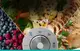 0efdb1da404741d8ebdb141a0aed0783