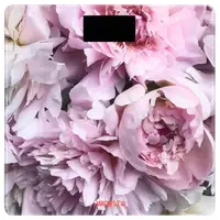 Весы напольные электронные Ardesto SCB-965PEONIES