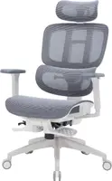 Крісло офісне OfficePro Skyline OC750-W-DG-DG