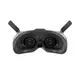 FPV окуляри DJI Goggles 2 (CP.FP.00000056.01)