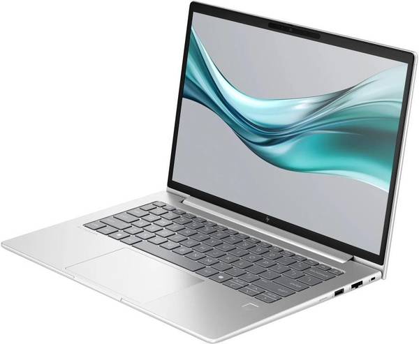Ноутбук HP EliteBook 645 G11 Silver (8Z3N3AV_V1)