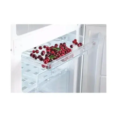 Холодильник з морозильною камерою Snaige RF31SM-S0002E