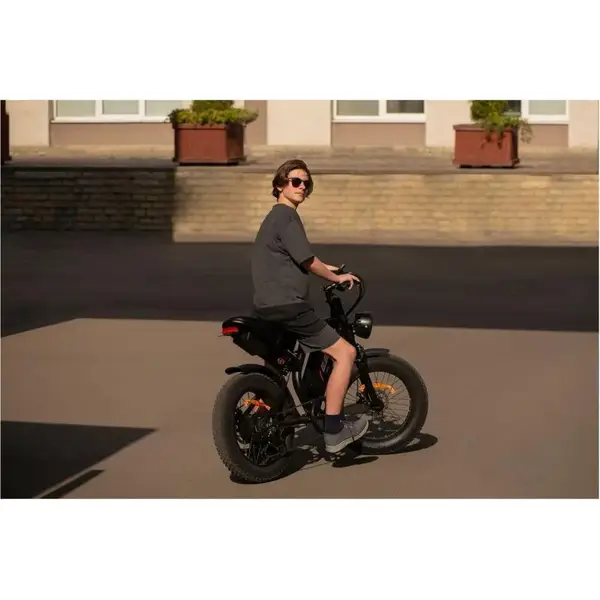 Электровелосипед 2E EB11 20" красно-черный (EB11)