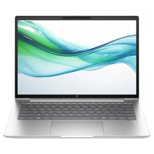Ноутбук HP ProBook 445 G11 Pike Silver (8Z9P8AV_V2)