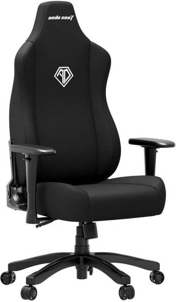Компьютерное кресло для геймера Anda Seat Novis L Black Fabric (AD23-L-01-BF)