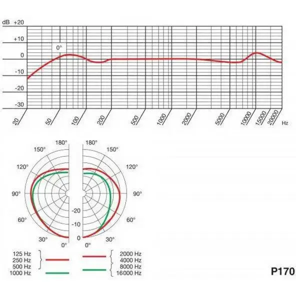 Мікрофон інструментальний AKG P170