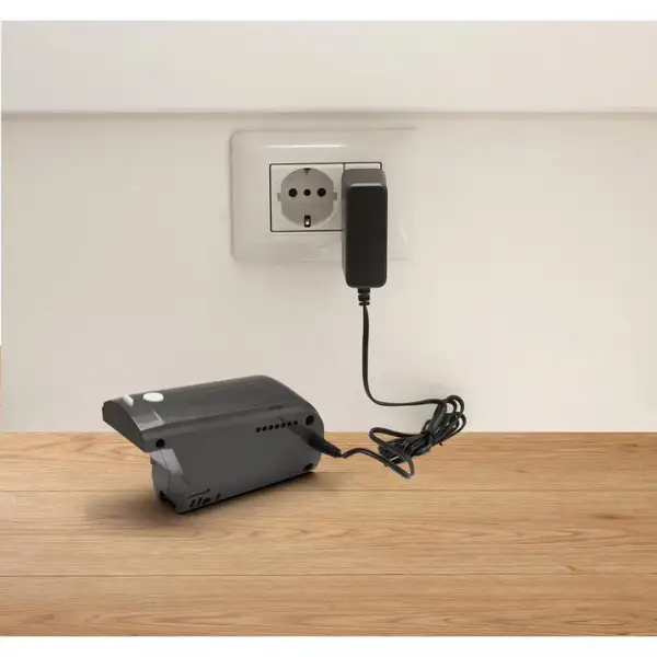 Вертикальний + ручний пилосос (2в1) Gorenje SVC216GFW