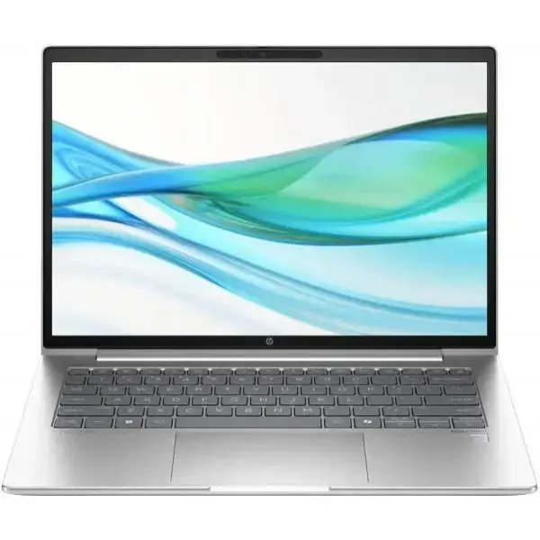 Ноутбук HP ProBook 445 G11 Pike Silver (AD0T4ET)