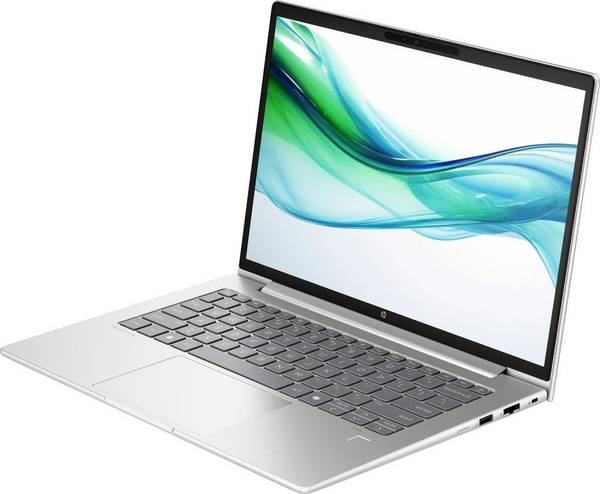 Ноутбук HP ProBook 445 G11 Pike Silver (8Z9P8AV_V2)