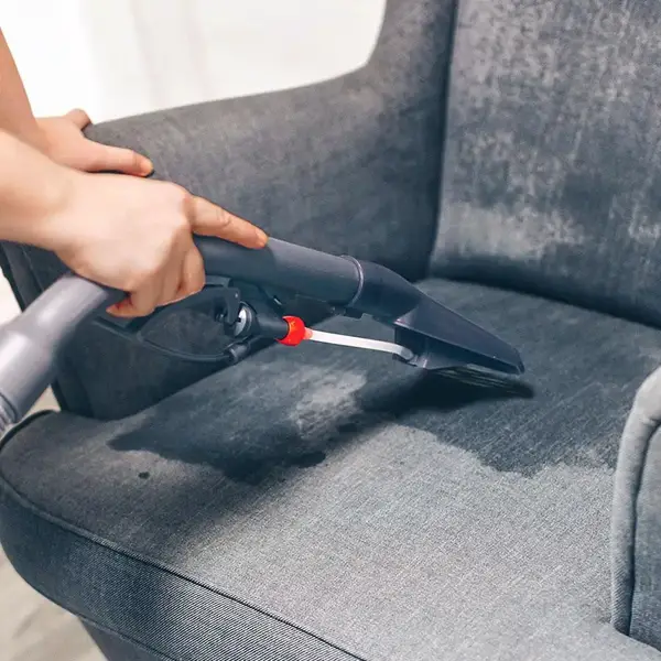 Миючий пилосос Thomas AQUA FleckWasher (788121)