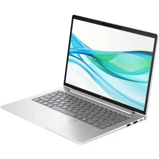 Ноутбук HP ProBook 445 G11 Pike Silver (AD0T7ET)