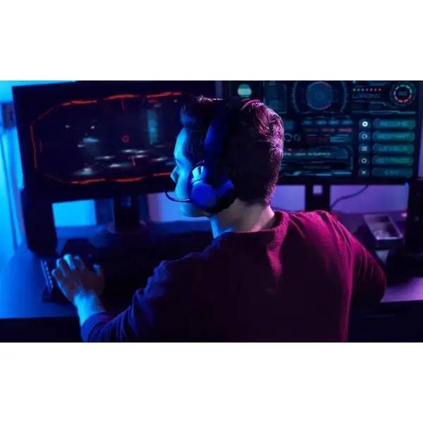 Навушники з мікрофоном JBL Quantum 350 Wireless Black (JBLQ350WLBLK)