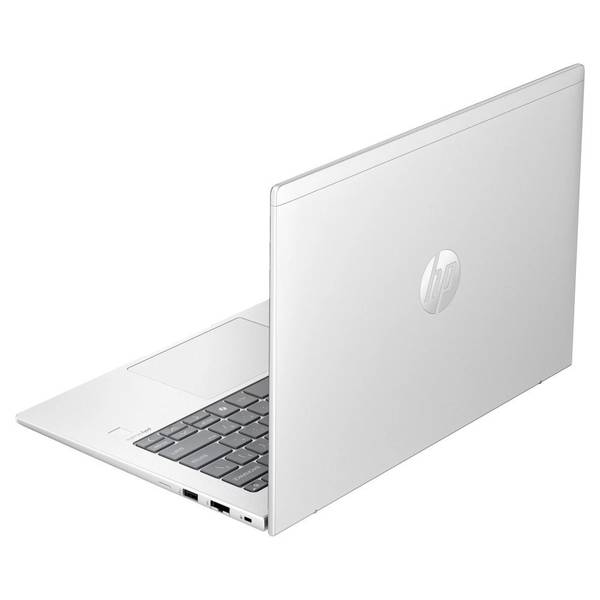 Ноутбук HP ProBook 445 G11 Pike Silver (8Z9P8AV_V1)