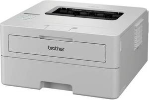 БФП Brother HL-B2180DW (HLB2180DWYJ1) БФП Brother HL-B2180DW (HLB2180DWYJ1)