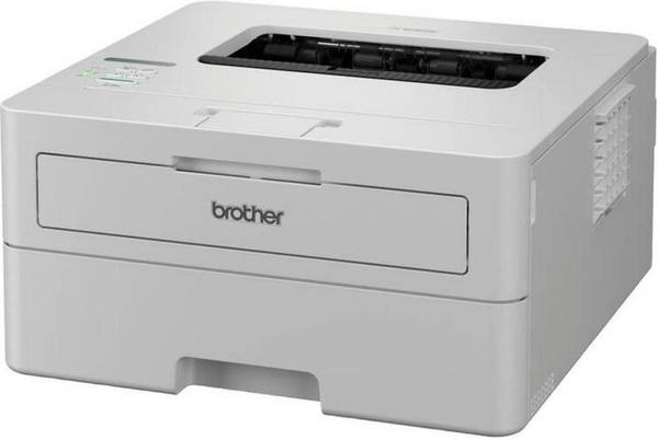 БФП Brother HL-B2180DW (HLB2180DWYJ1)