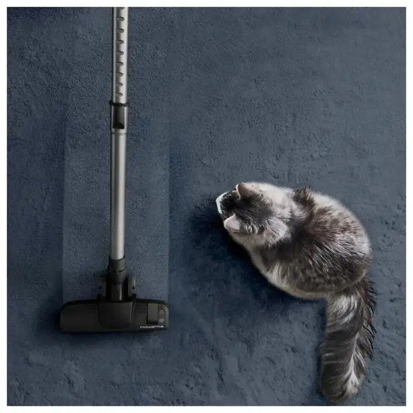 Пилосос безмішковий Rowenta Green Force Cyclonic RO7C89EA