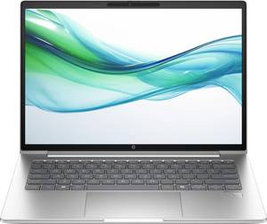 Ноутбук HP ProBook 445 G11 Pike Silver (8Z9P8AV_V1) Ноутбук HP ProBook 445 G11 Pike Silver (8Z9P8AV_V1)