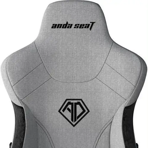 Комп'ютерне крісло для геймера Anda Seat T-Pro 2 XL gray/black (AD12XLLA-01-GB-F)