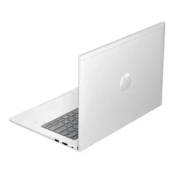 Ноутбук HP ProBook 445 G11 Pike Silver (AD0U0ET)