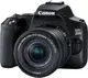 Зеркальный фотоаппарат Canon EOS 250D kit (18-55mm) EF-S IS STM (3454C007)