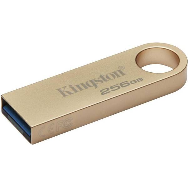 Флешка Kingston 256 GB DataTraveler SE9 Gen 3 Gold (DTSE9G3/256GB)