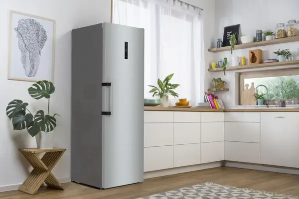 Холодильная камера Gorenje R619EAXL6