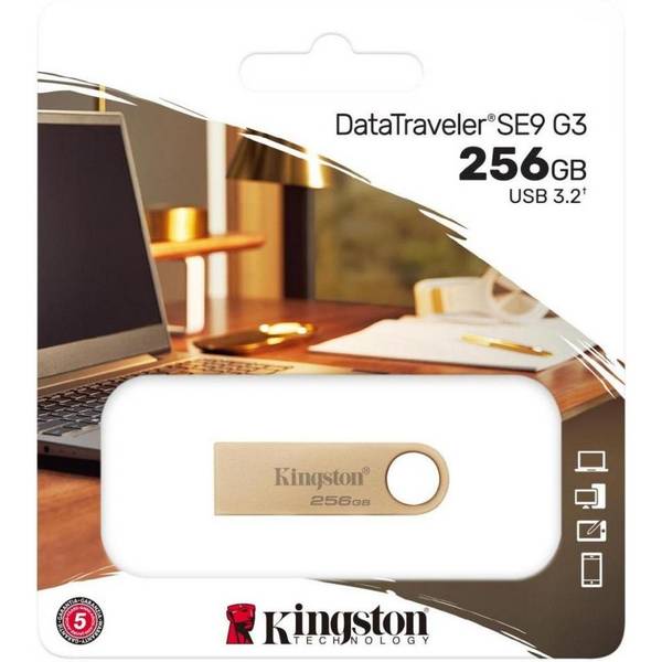 Флешка Kingston 256 GB DataTraveler SE9 Gen 3 Gold (DTSE9G3/256GB)