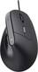 Миша Trust Bayo 2 Ergonomic Black (25144_TRUST)