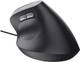 Миша Trust Bayo 2 Ergonomic Black (25144_TRUST)