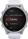 Смарт-годинник Garmin Fenix 8 43mm AMOLED Silver with Whitestone Silicone Band (010-02903-06)