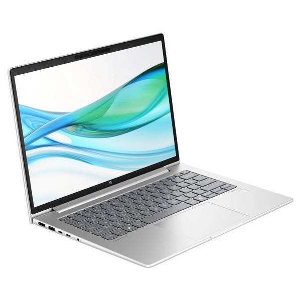Ноутбук HP ProBook 445 G11 Pike Silver (8Z9P8AV_V2)