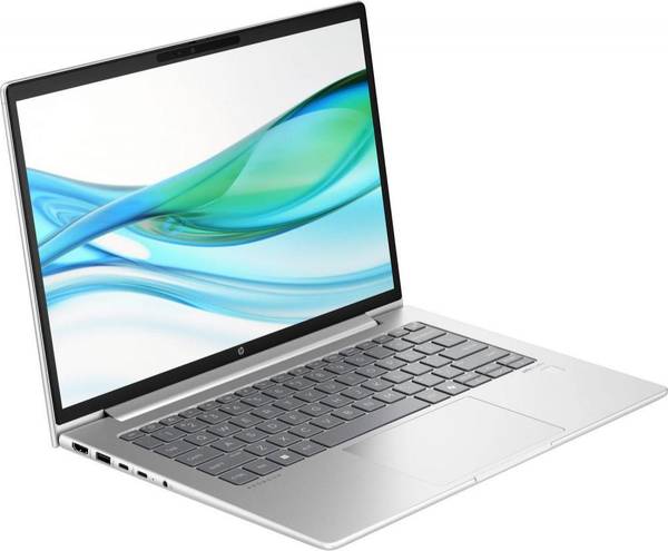 Ноутбук HP ProBook 445 G11 Pike Silver (8Z9P8AV_V1)