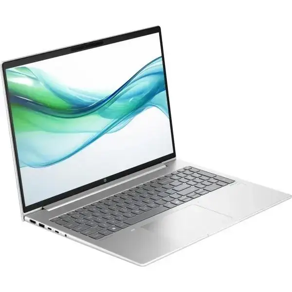 Ноутбук HP ProBook 460 G11 Pike Silver (AD0V6ET)