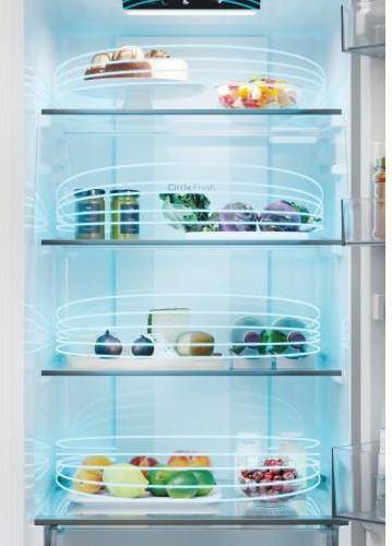 Холодильник з морозильною камерою Candy CNCQ2T518EW