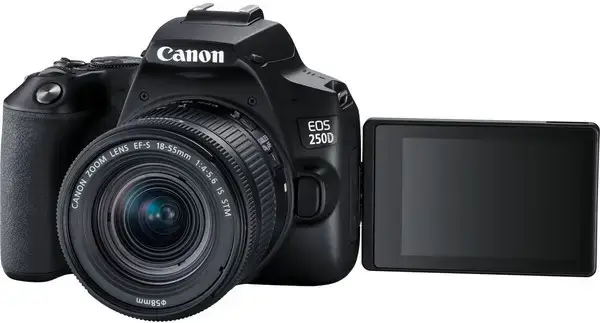 Зеркальный фотоаппарат Canon EOS 250D kit (18-55mm) EF-S IS STM (3454C007)