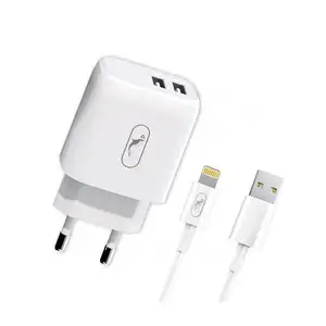 Мережевий зарядний пристрій SkyDolphin SC22EBL 2USB 2.1A White + Lightning cable (MZP-000162)