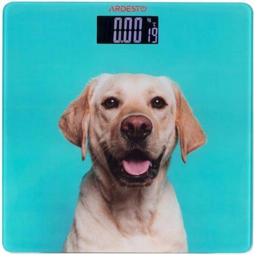 Ваги підлогові електронні Ardesto SCB-965DOG