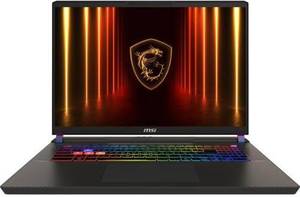 Ноутбук MSI Vector 17 HX AI A2XWIG Cosmos Gray (9S7-17S372-043, A2XWIG-043UA)