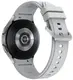 Смарт-годинник Samsung Galaxy Watch 4 Classic 46mm (BT) Silver (SM-R890NZSASEK)