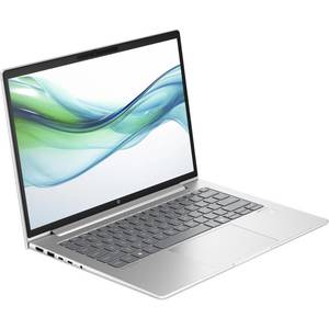 Ноутбук HP ProBook 445 G11 Pike Silver (8Z9P4AV_V5) Ноутбук HP ProBook 445 G11 Pike Silver (8Z9P4AV_V5)