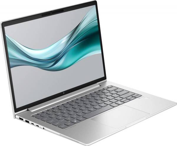 Ноутбук HP EliteBook 645 G11 Silver (8Z3N3AV_V1)