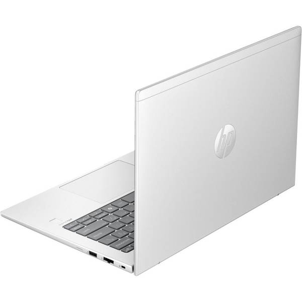 Ноутбук HP ProBook 445 G11 Pike Silver (AD0T5ET)