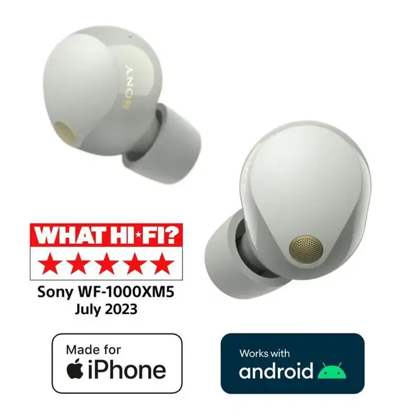 Навушники TWS Sony WF-1000XM5 Silver (WF1000XM5S.CE7)