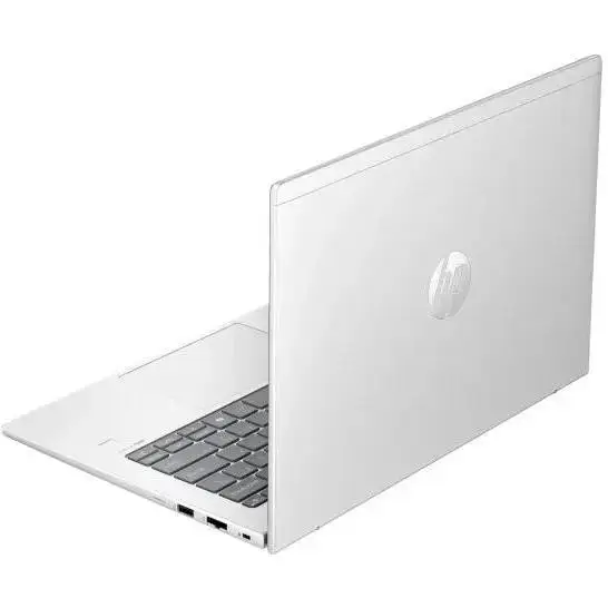 Ноутбук HP ProBook 445 G11 Pike Silver (AD0T7ET)