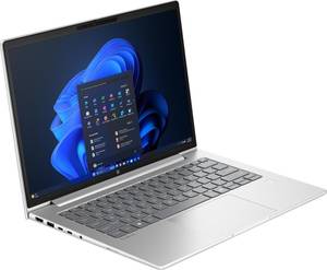 Ноутбук HP ProBook 4 G1a 14 Pike Silver (B9ZG6ET)