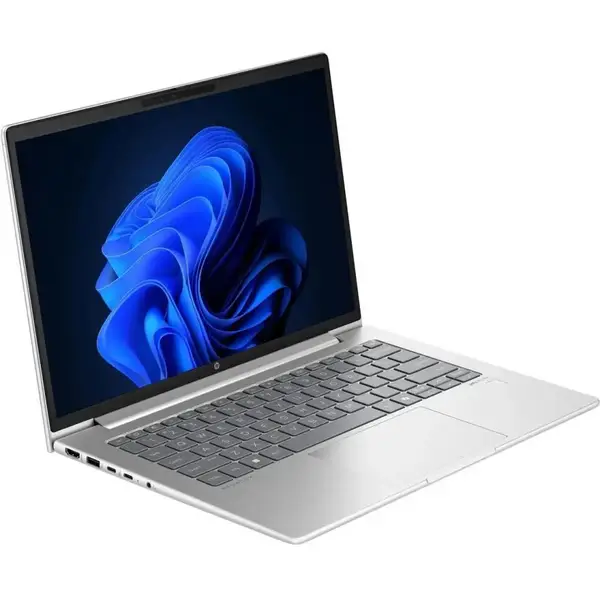 Ноутбук HP ProBook 440 G11 Pike Silver (AD0X6ET)